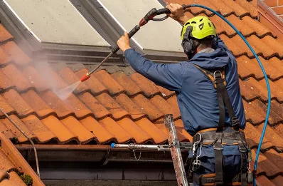 Démoussage et hydrofuge de toiture à Vauchassis